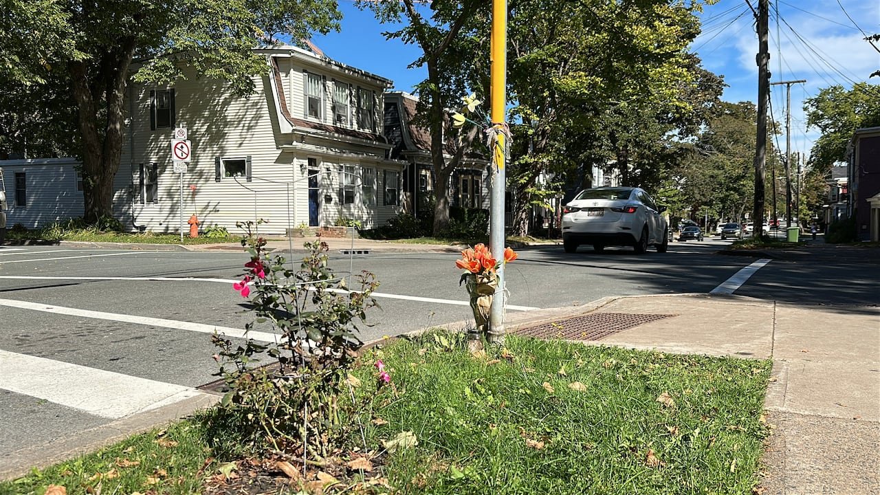 Orange flowers are shown next to a post by a four way stop in Halifax.